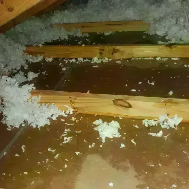 Attic Water Damage in Hartford City, IN