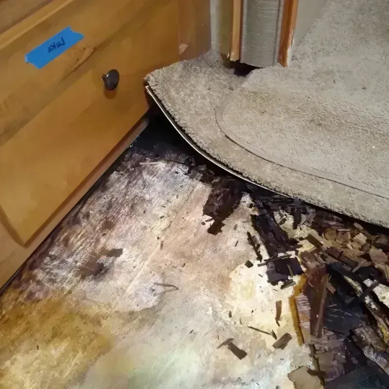 Wood Floor Water Damage in Hartford City, IN